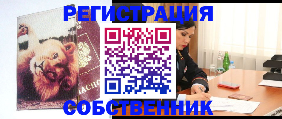 прописка от собственника в Балашихе